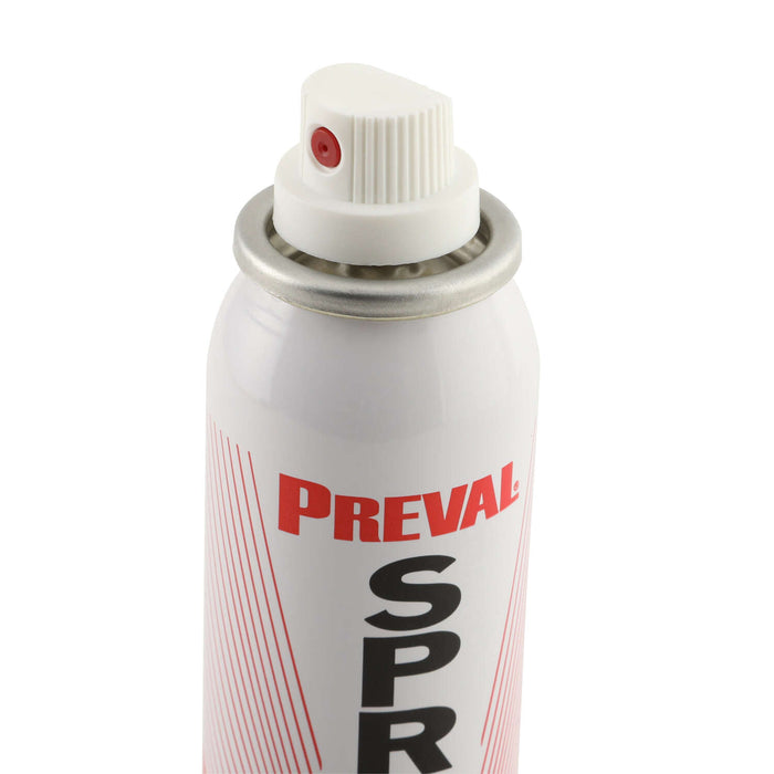 Preval Sprayer